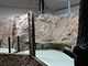 Riesensalamanderanlage Tierpark Chemnitz