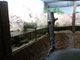 Riesensalamanderanlage Tierpark Chemnitz