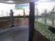 Riesensalamanderanlage Tierpark Chemnitz