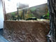Riesensalamanderanlage Tierpark Chemnitz