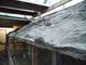 Troparium Butterfly, Wiesenbad